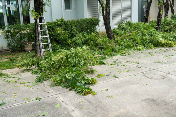  Bourbon, MO Tree Service Pros